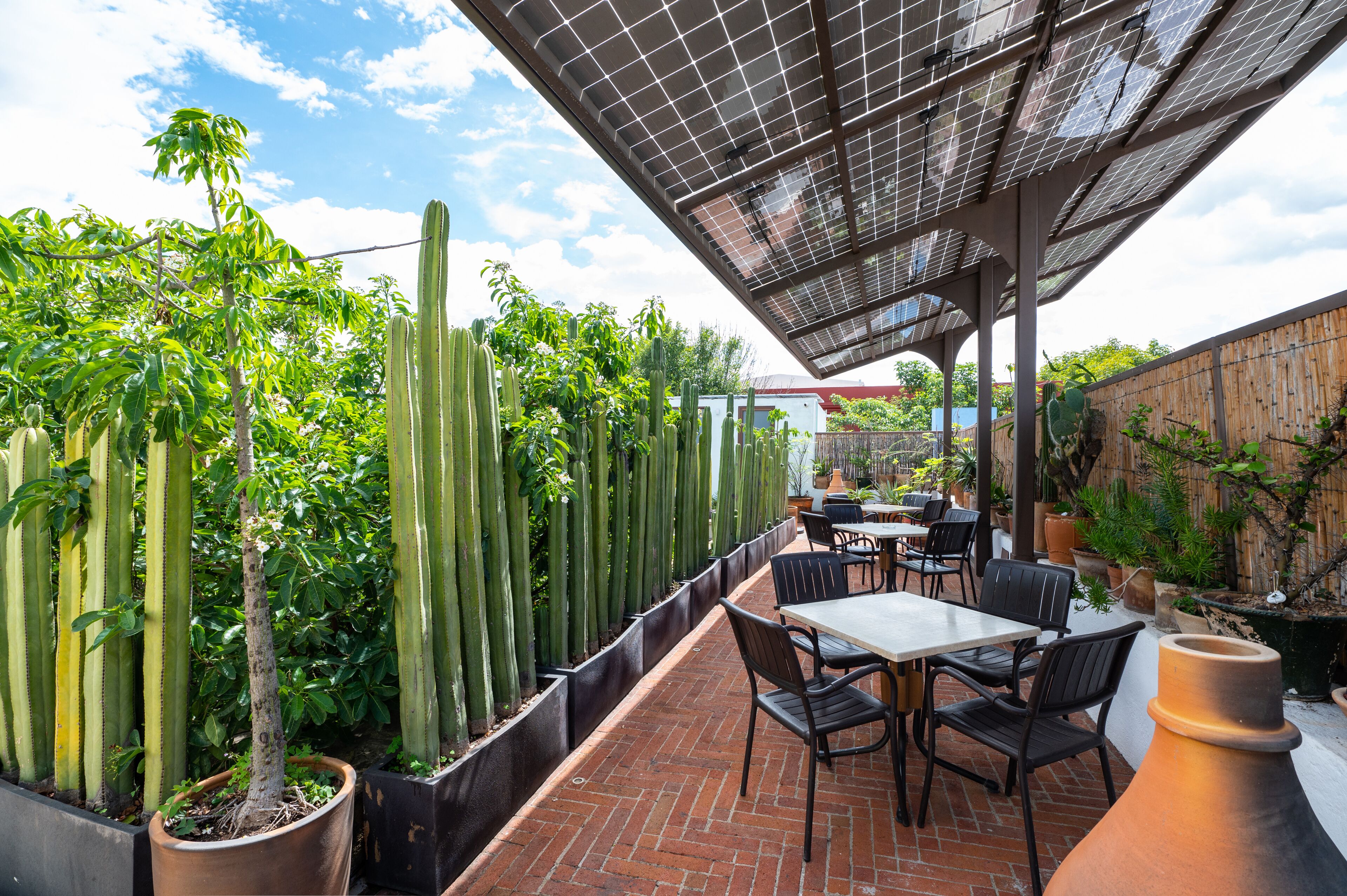 An outdoor patio with brick flooring, cactus plants, and a table with chairs.