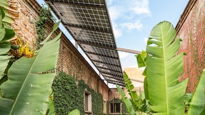 A narrow alleyway with lush greenery and a brick building. - Casa De Sierra Azul (Oaxaca)