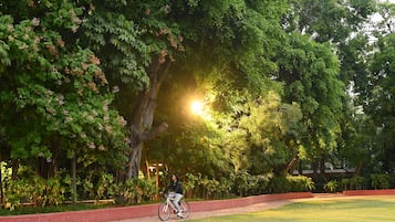 A person riding a bicycle on a brick pathway surrounded by lush greenery and trees.
