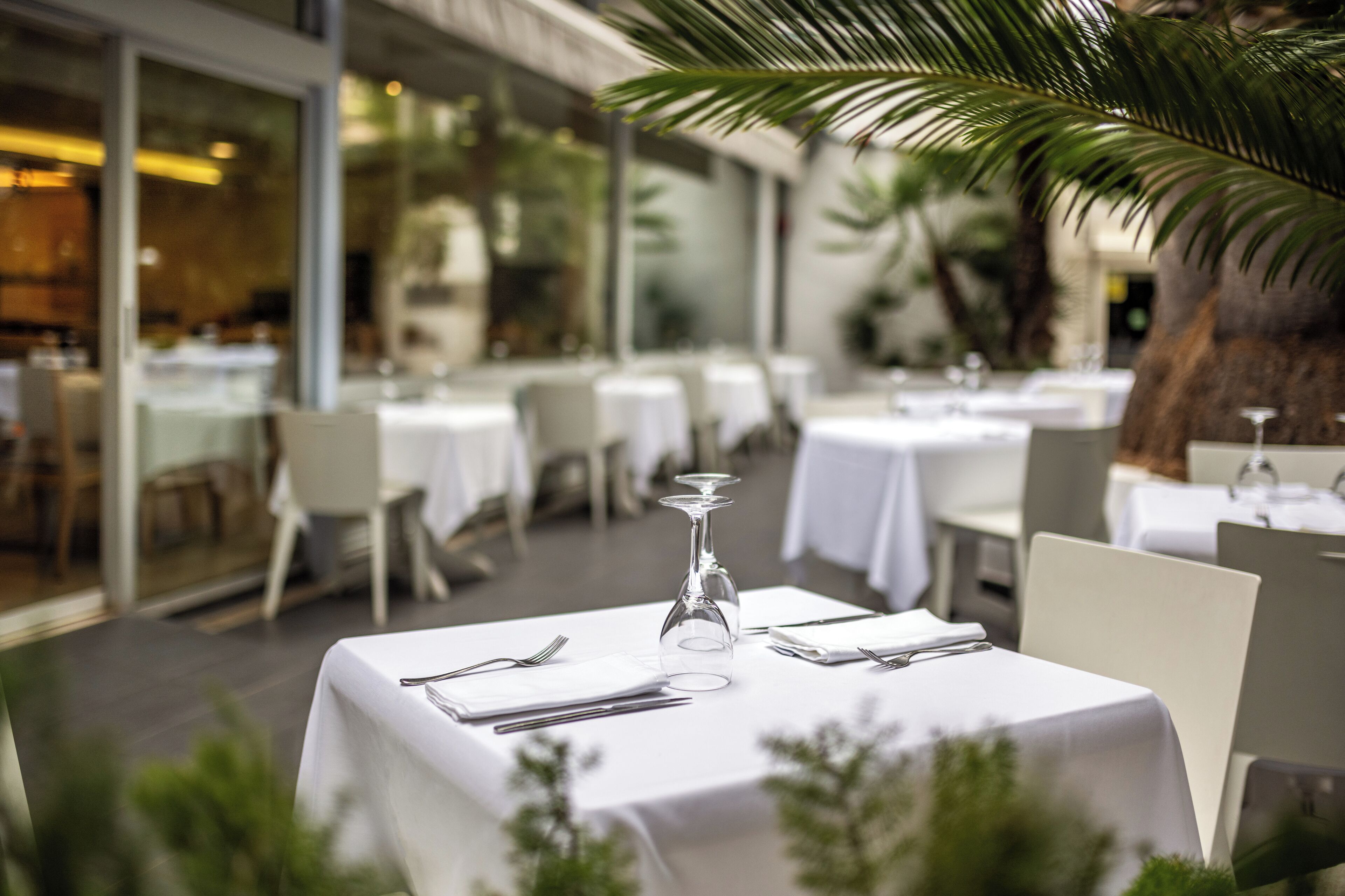 A restaurant with white tablecloths, neatly set tables, and a palm tree in the background.