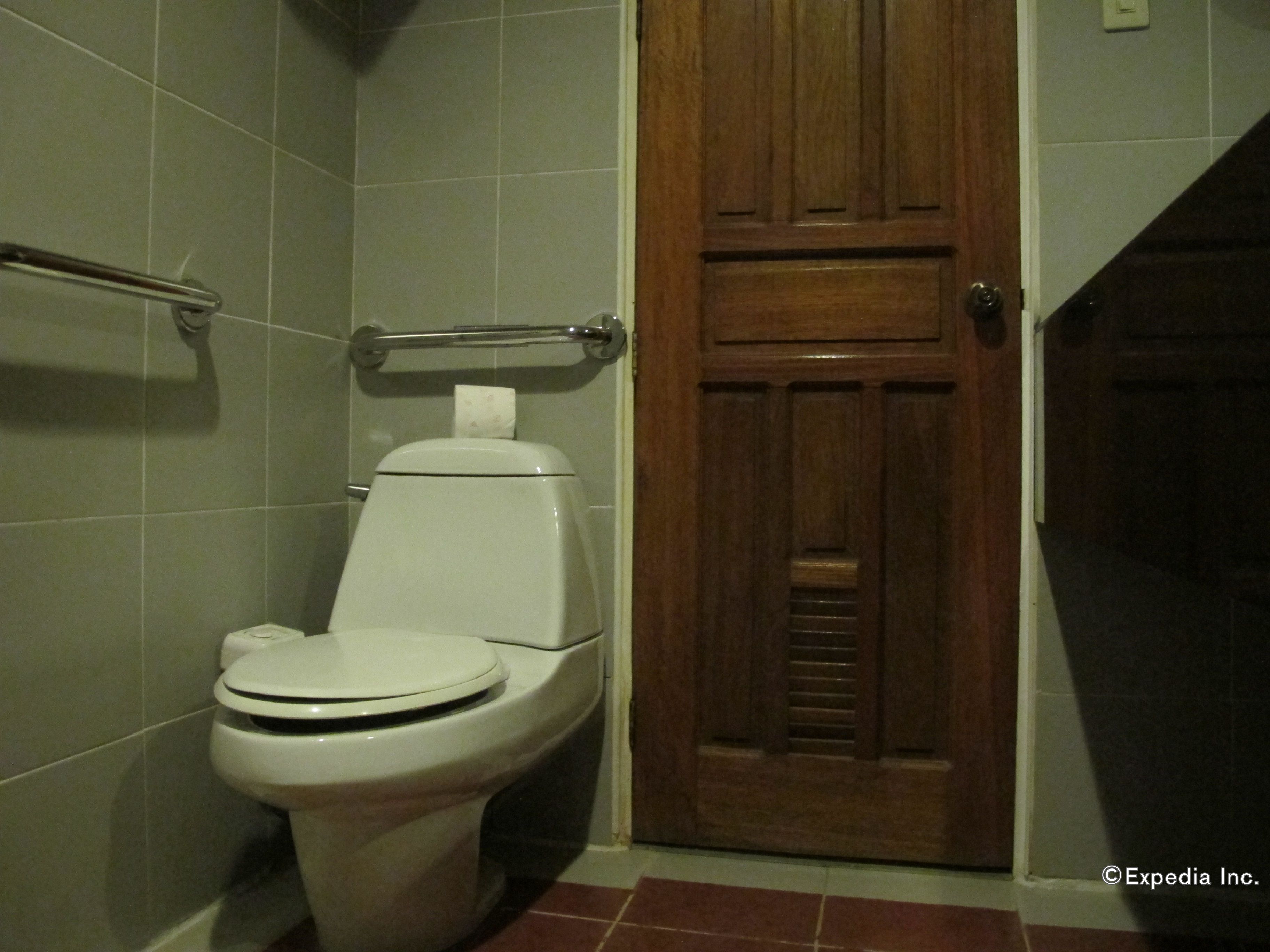 A bathroom with a toilet, a wooden door, and a handrail.