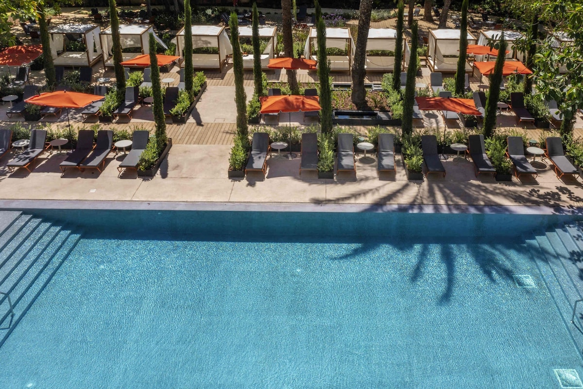 A poolside area with lounge chairs and umbrellas, surrounded by trees.