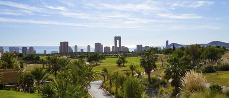 A cityscape with a prominent tower, a curved road, and a park with palm trees.
