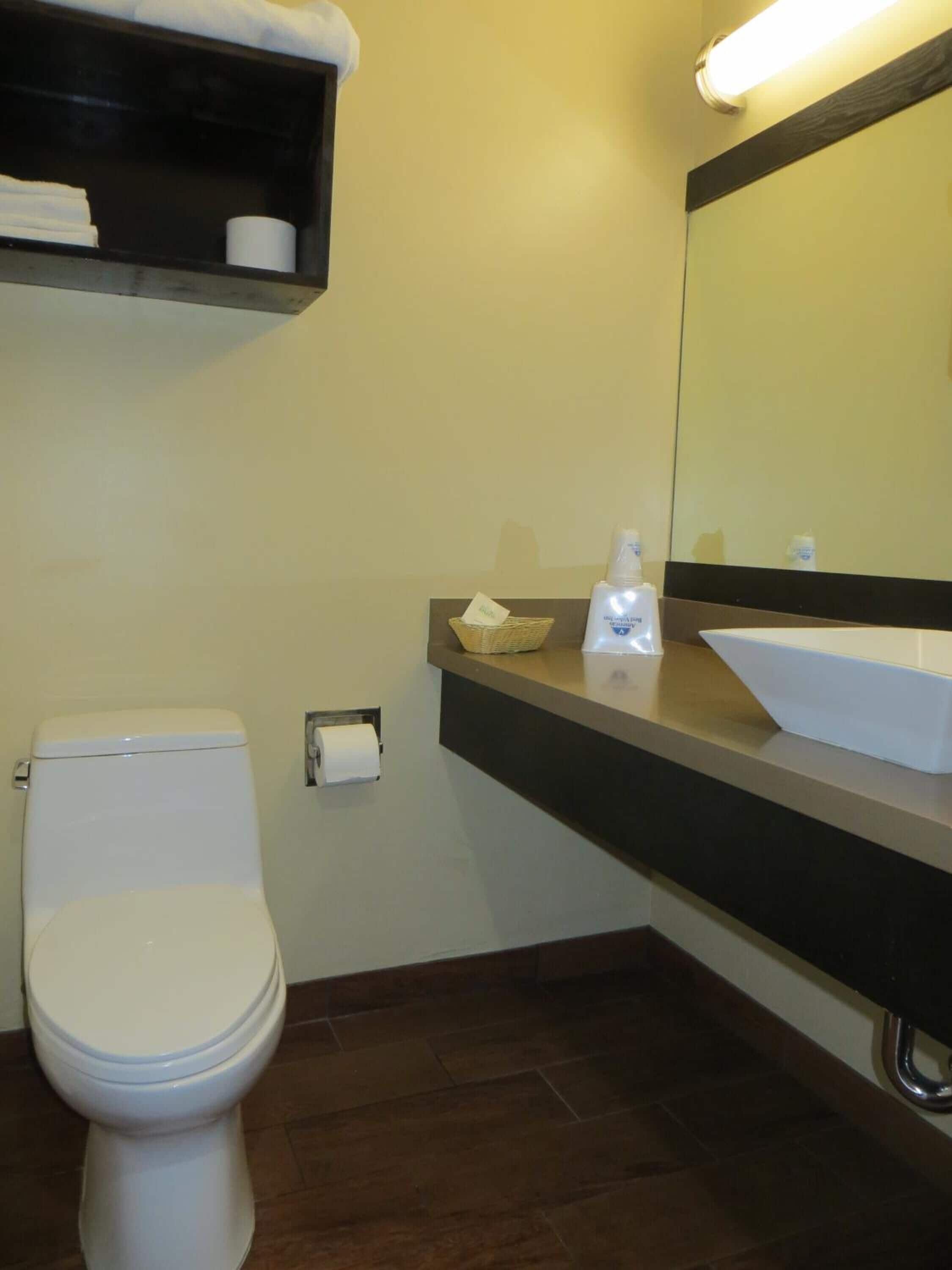 A bathroom with a toilet, a sink, a mirror, and a shelf with toiletries.