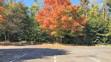 A parking lot with trees in the background.