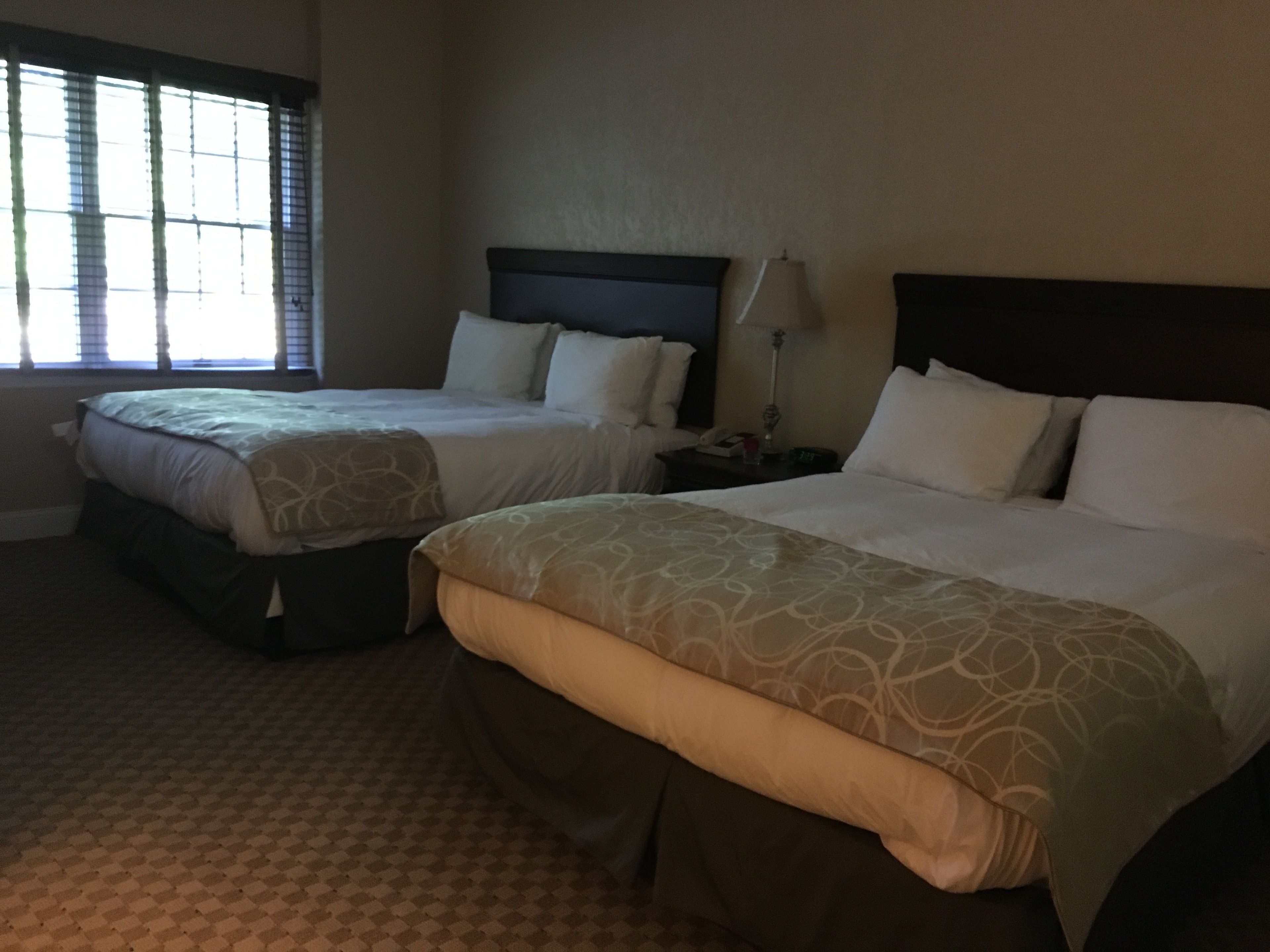 A hotel room with two beds, a window with blinds, a nightstand with a lamp, and a patterned carpet.