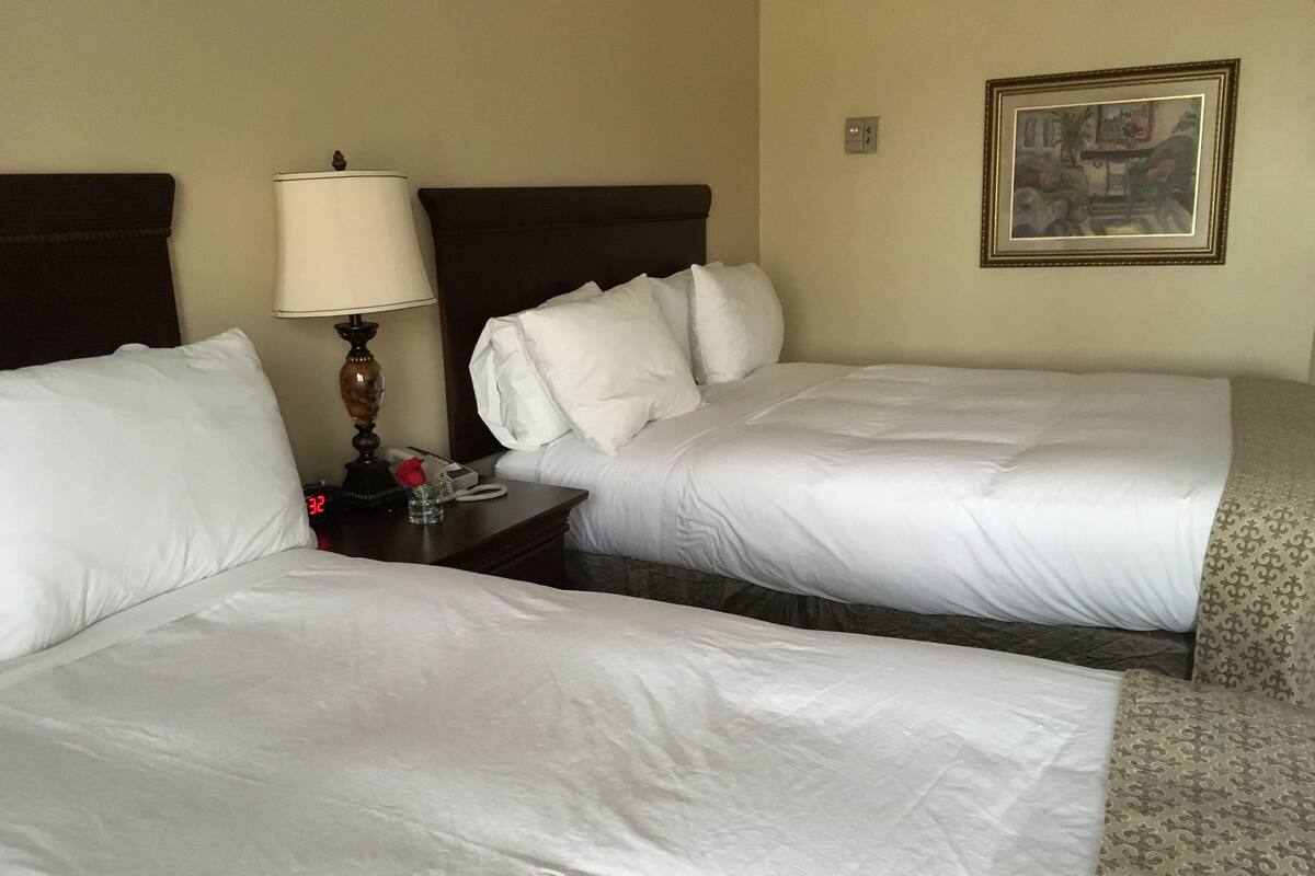 A hotel room with two beds, a bedside table with a lamp, a phone, and a framed picture on the wall.