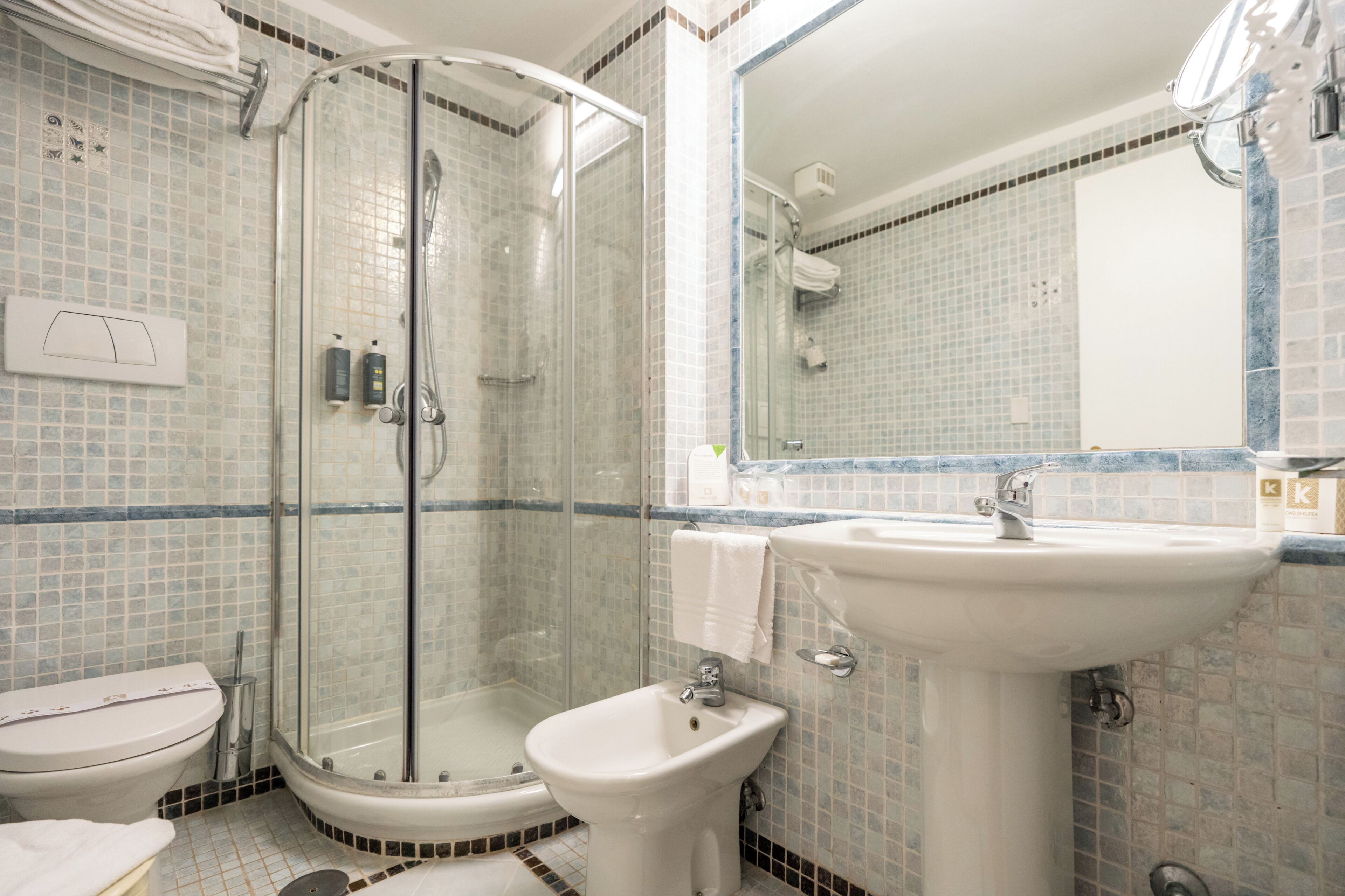 Une salle de bain avec une douche à parois de verre, un lavabo sur colonne et des toilettes.