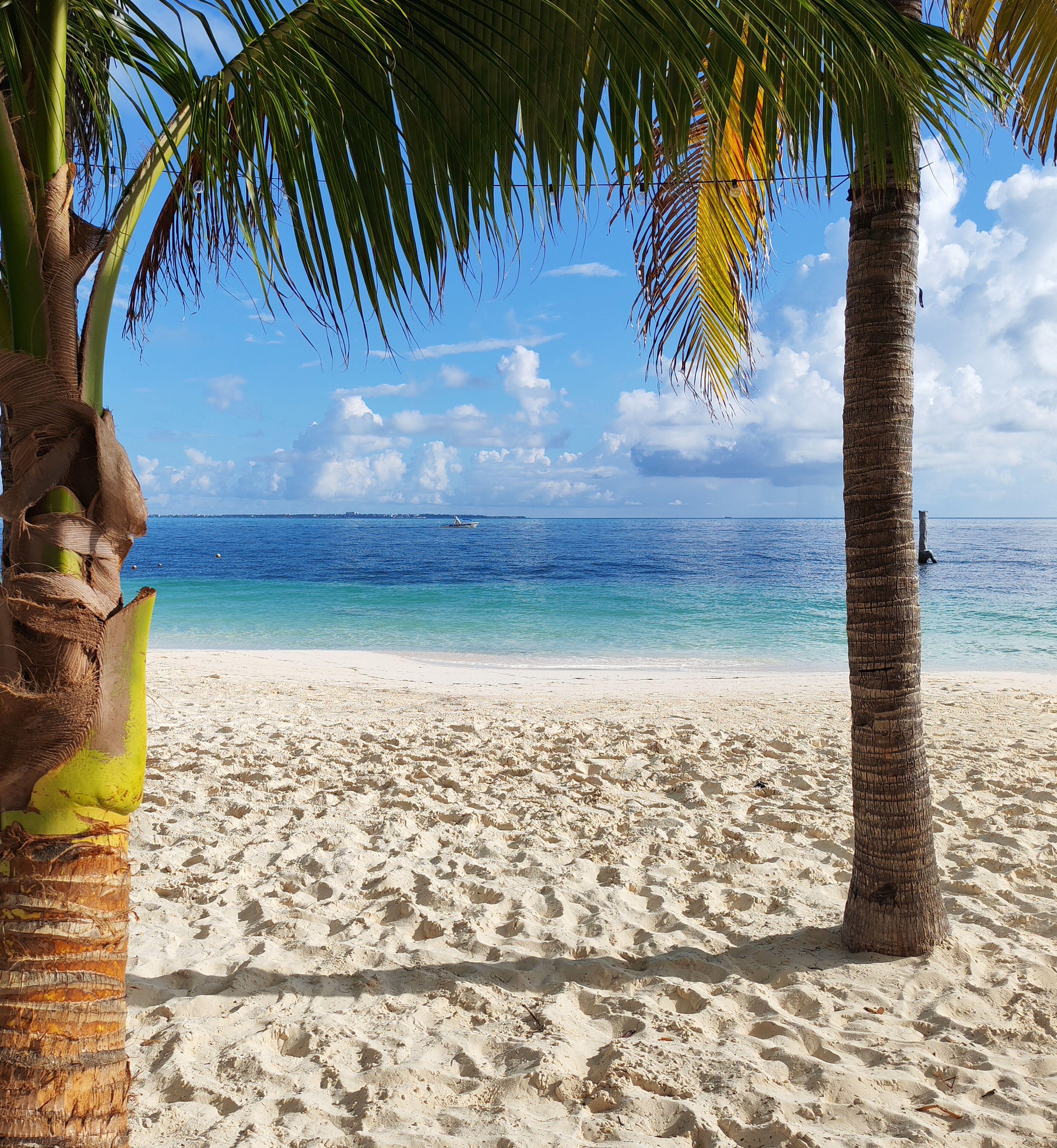 On the beach, white sand, sun loungers, beach umbrellas