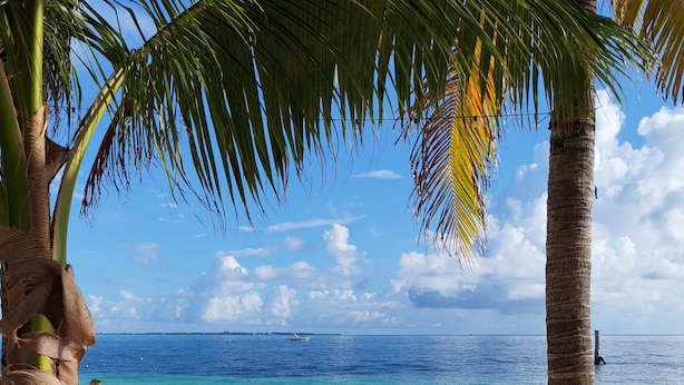 A beach with clear blue water, sandy shore, and palm trees. - Hotel Maya Caribe Faranda (Cancun)