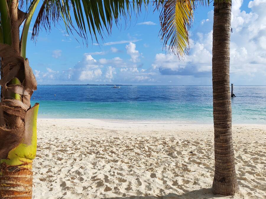 Na praia, areia branca, espreguiçadeiras, guarda-sóis