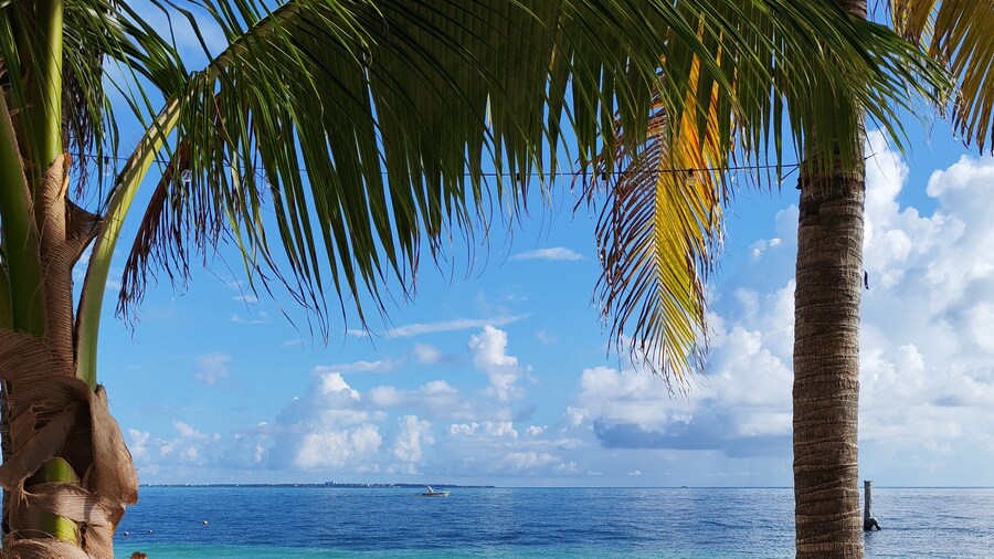 Hotel Maya Caribe Faranda