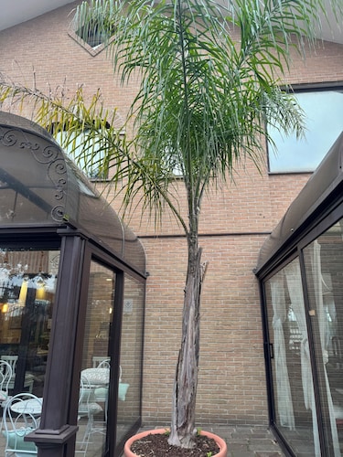 Euro House Inn Airport