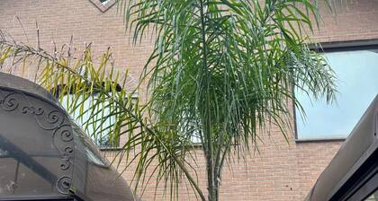 Euro House Inn Airport