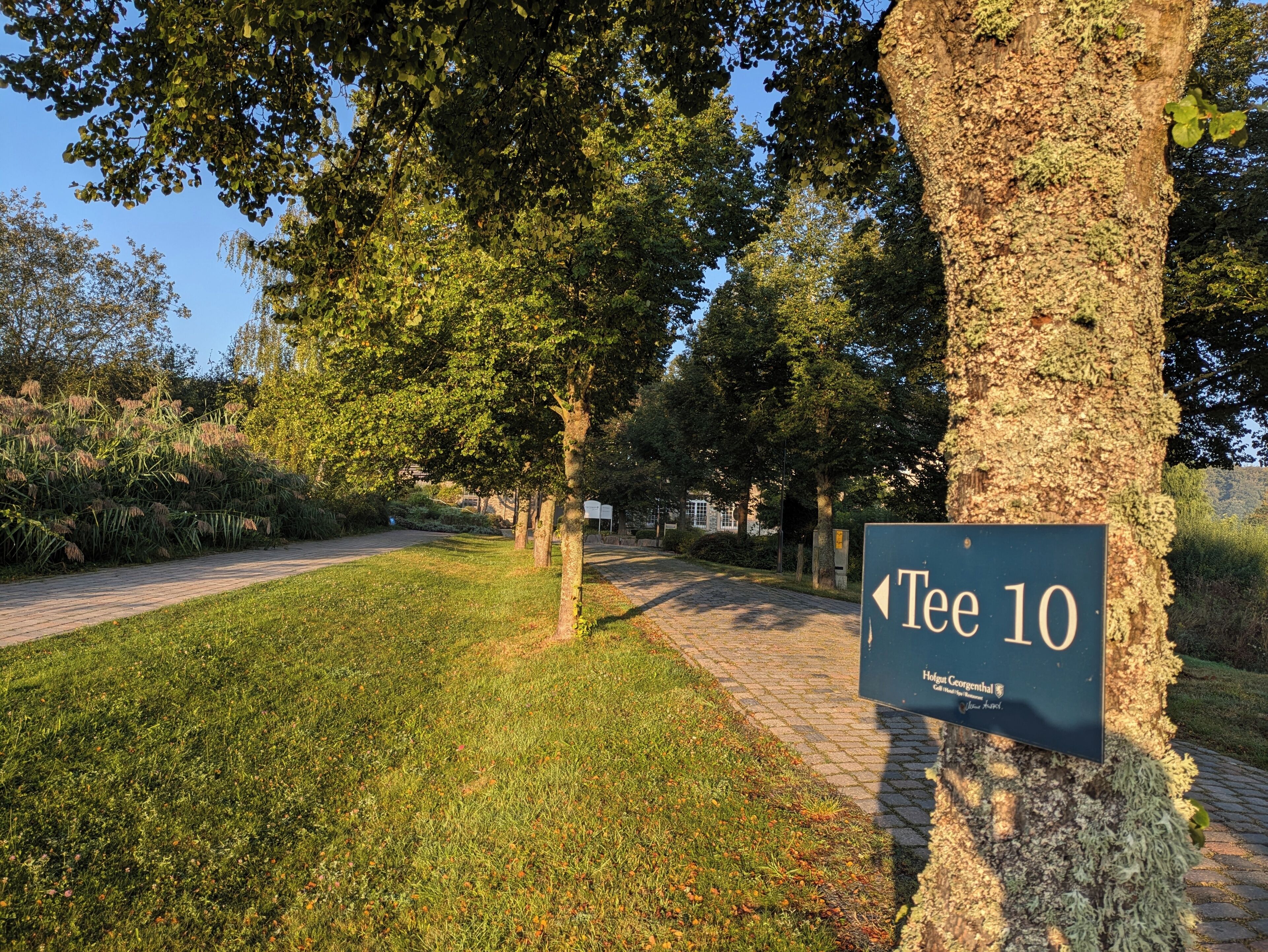 Ein Schild mit der Aufschrift 'Tee 10', ein Weg führt zu einem Gebäude.