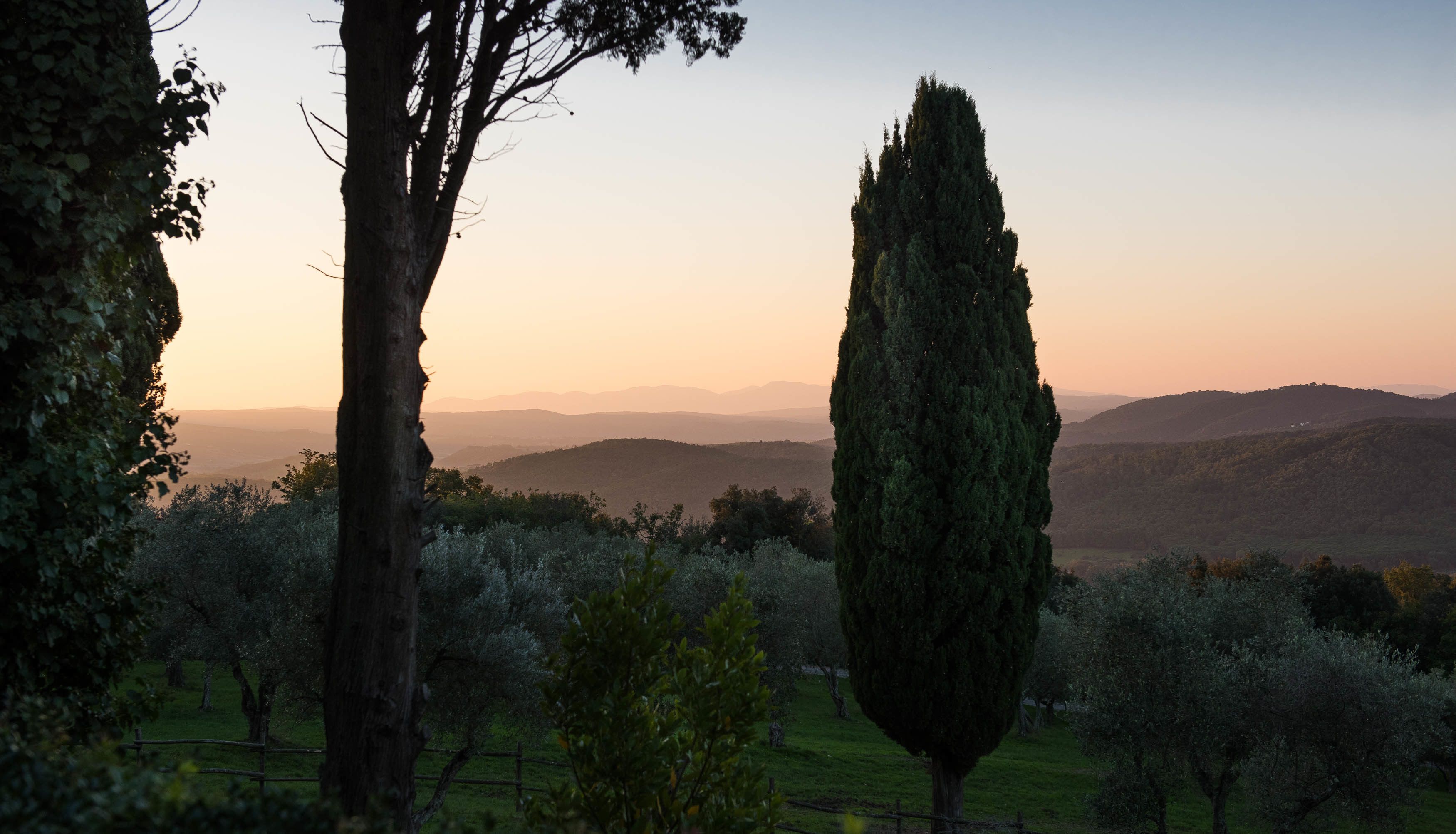 Eine Landschaft mit einem markanten Zypressenbaum, einem Zaun und einer weiten Hügellandschaft im Hintergrund.
