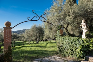 Exterior detail - Tenuta La Bandita (Sassetta)