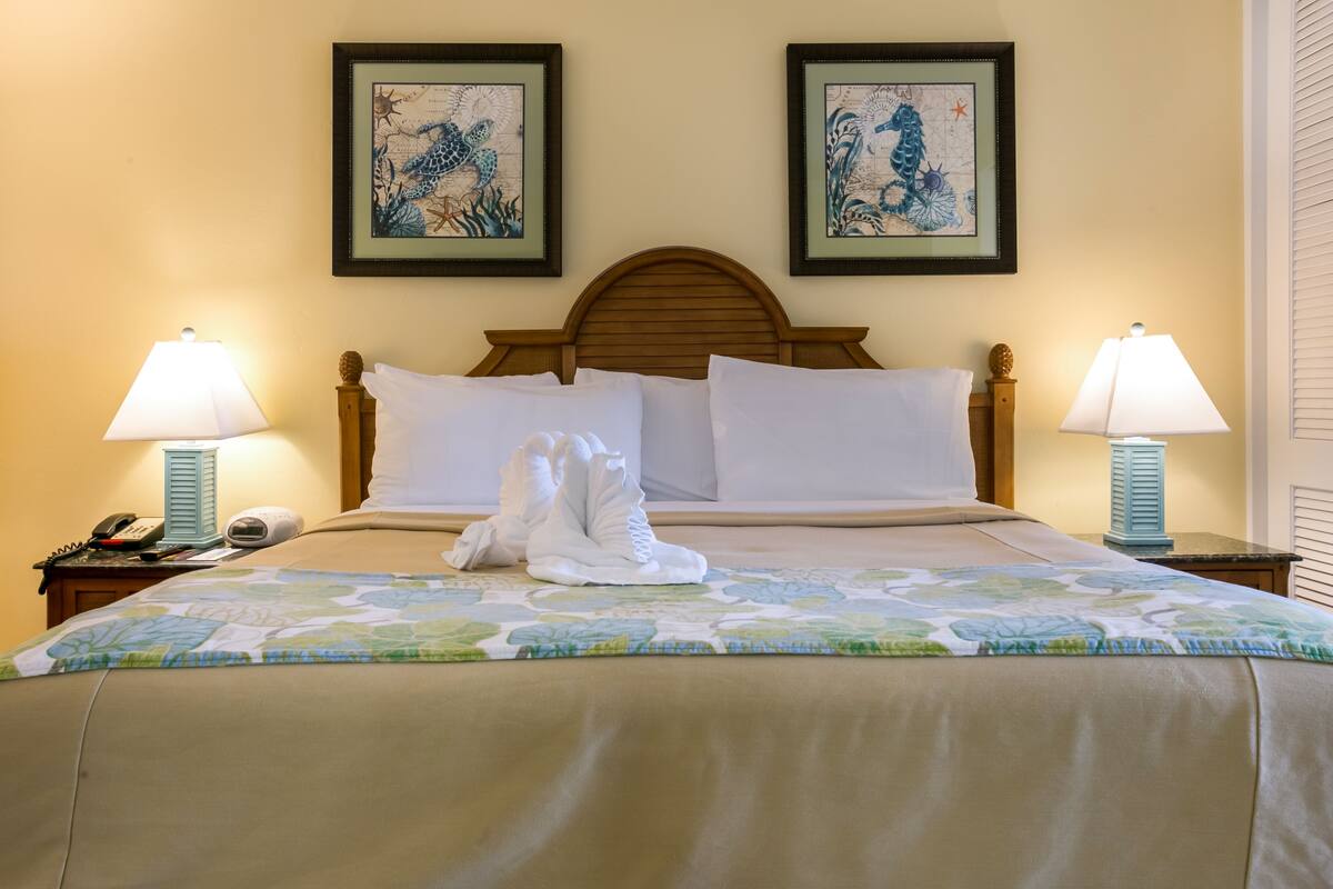 In-room safe, iron/ironing board, WiFi (free), alarm clocks