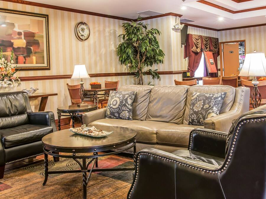 A well-furnished living room with a leather sofa, armchairs, a coffee table, and a large potted plant.