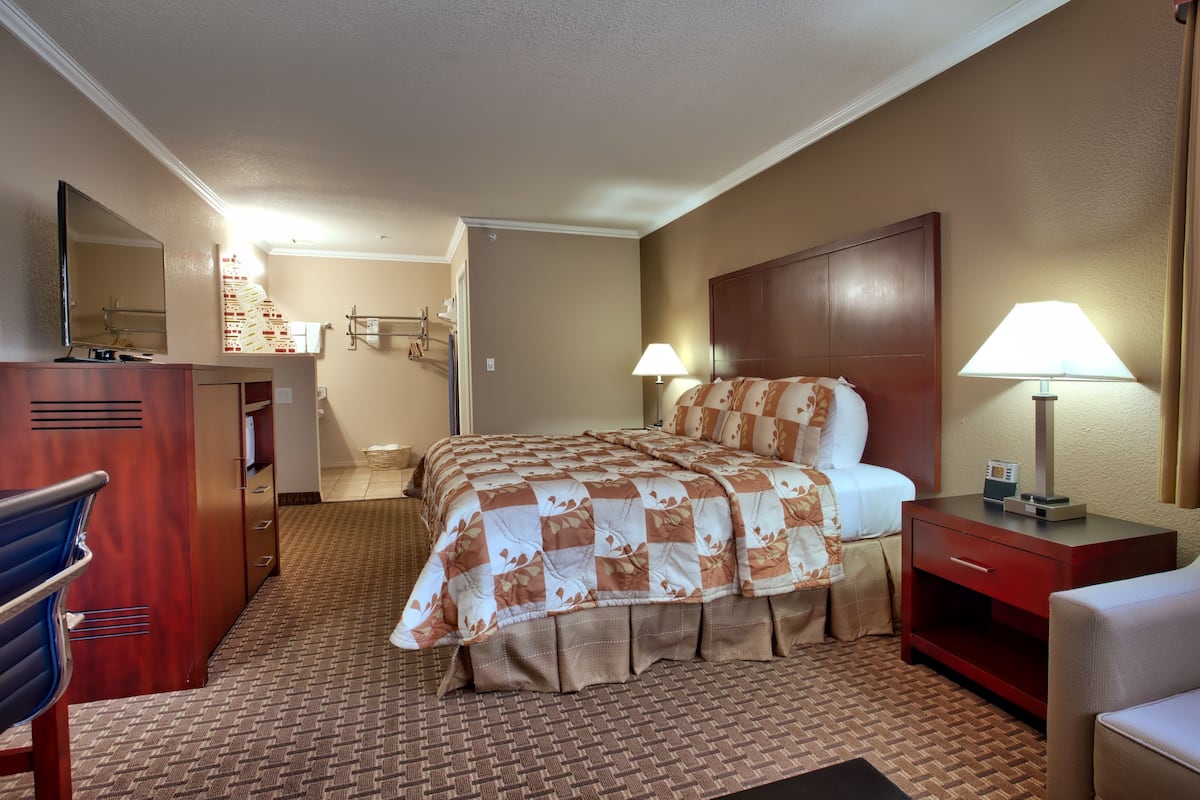 Habitación de hotel con cama, mesitas de noche, escritorio, silla, espejo y armario.