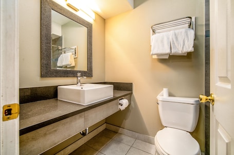 Combined shower/tub, hair dryer, towels. Regency Inn & Suites