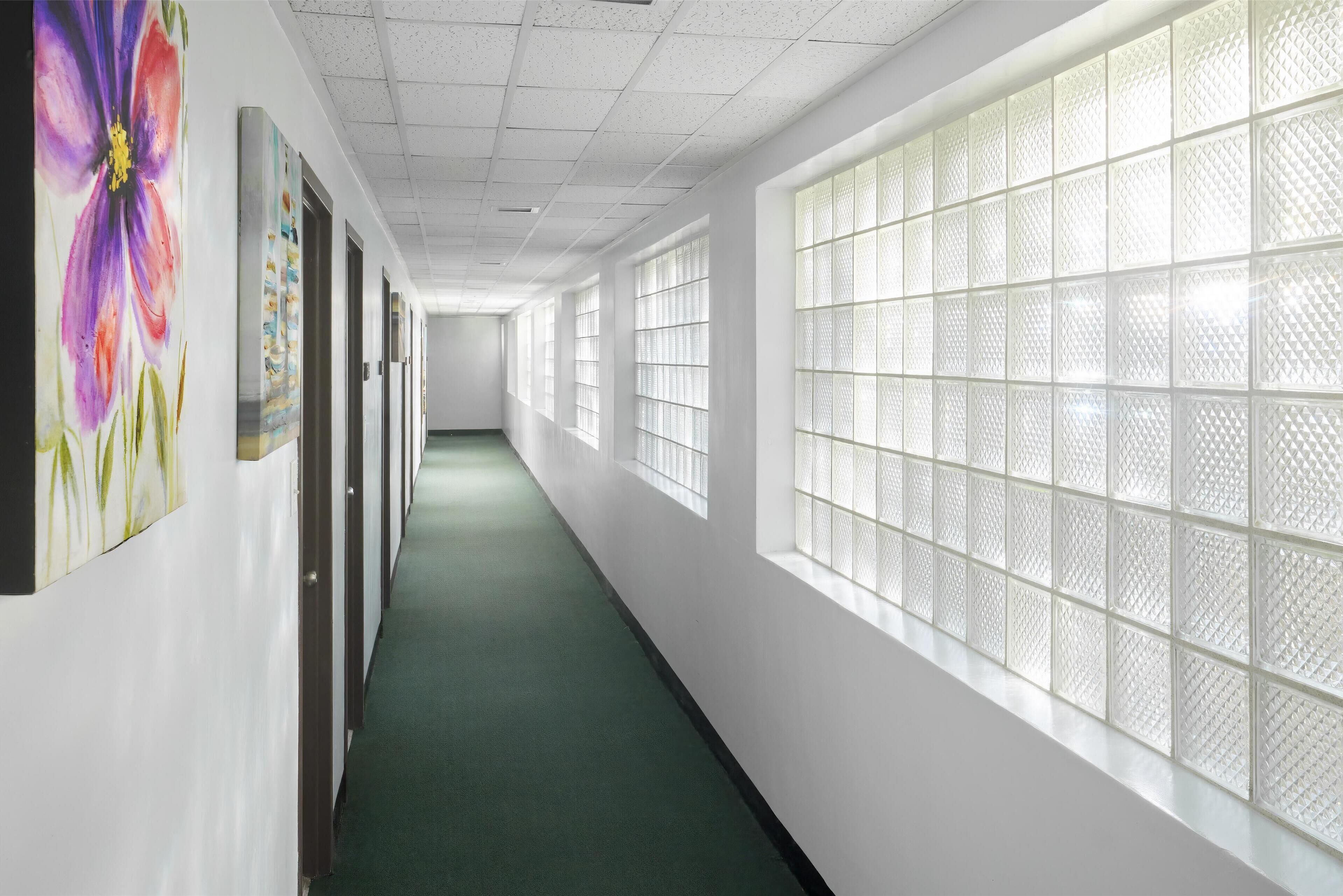A hallway with a green carpet, white walls, and a large window with a grid pattern.