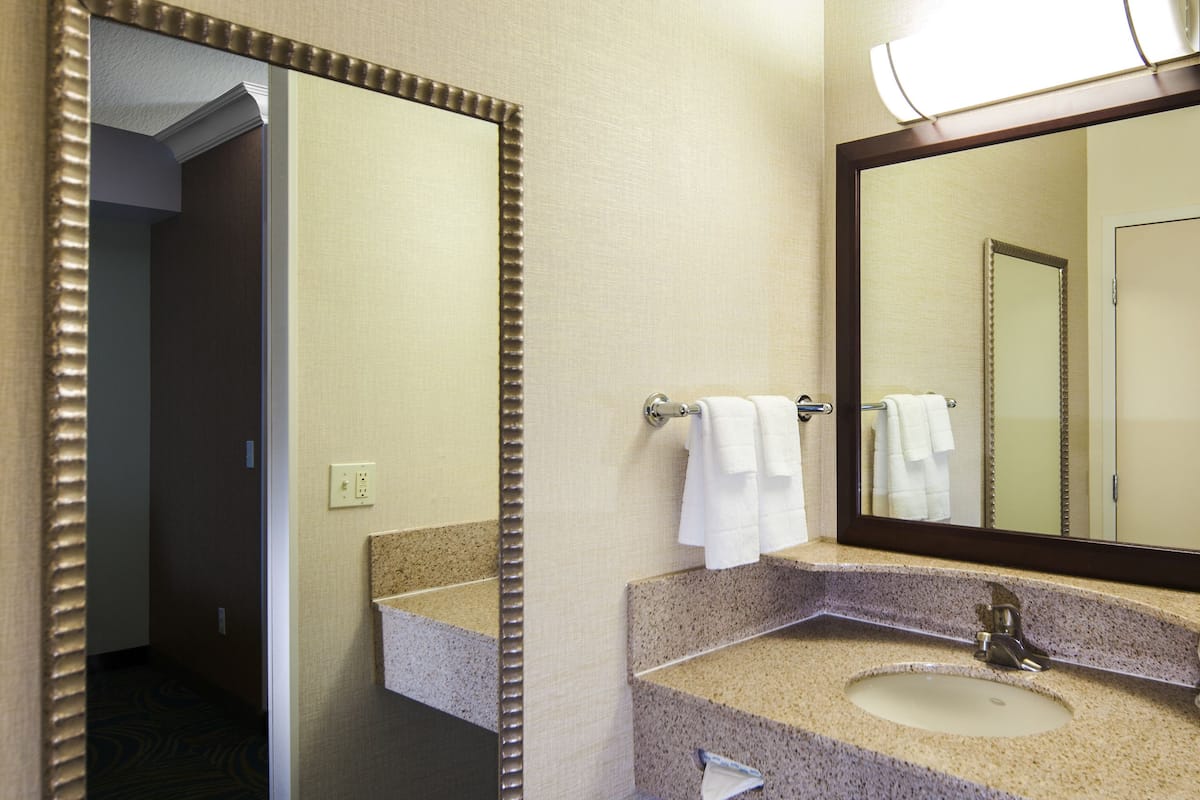 combined shower/bathtub, free toiletries, hair dryer, towels