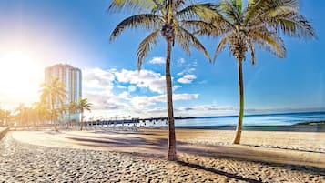 Vista desde la propiedad