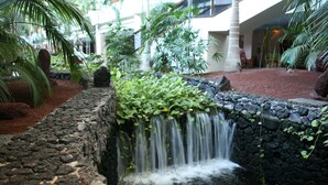 A small waterfall in a landscaped area with a stone wall and tropical plants. - Hotel Beatriz Costa & Spa (Teguise)
