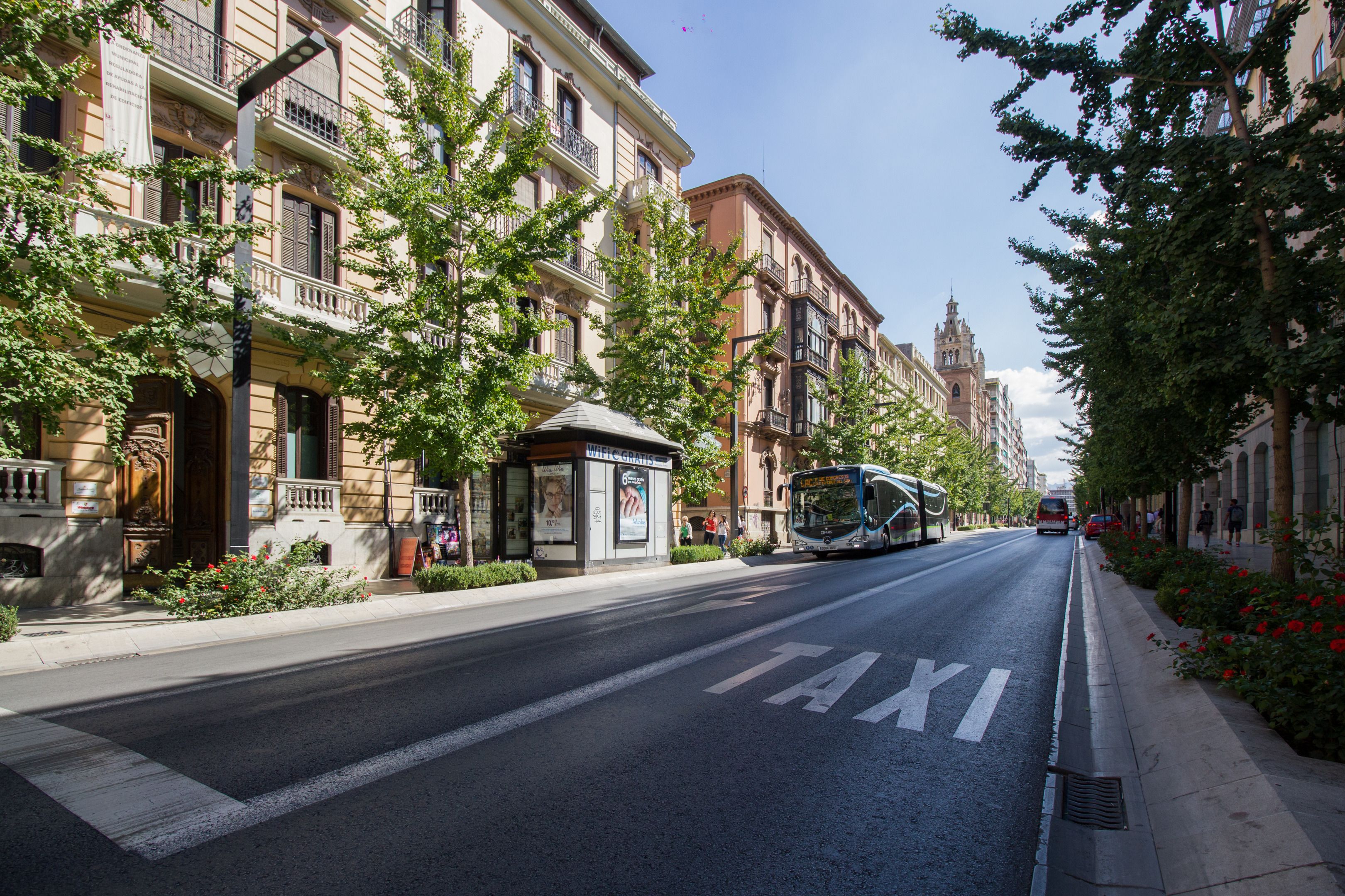 Foto - Atenas Granada