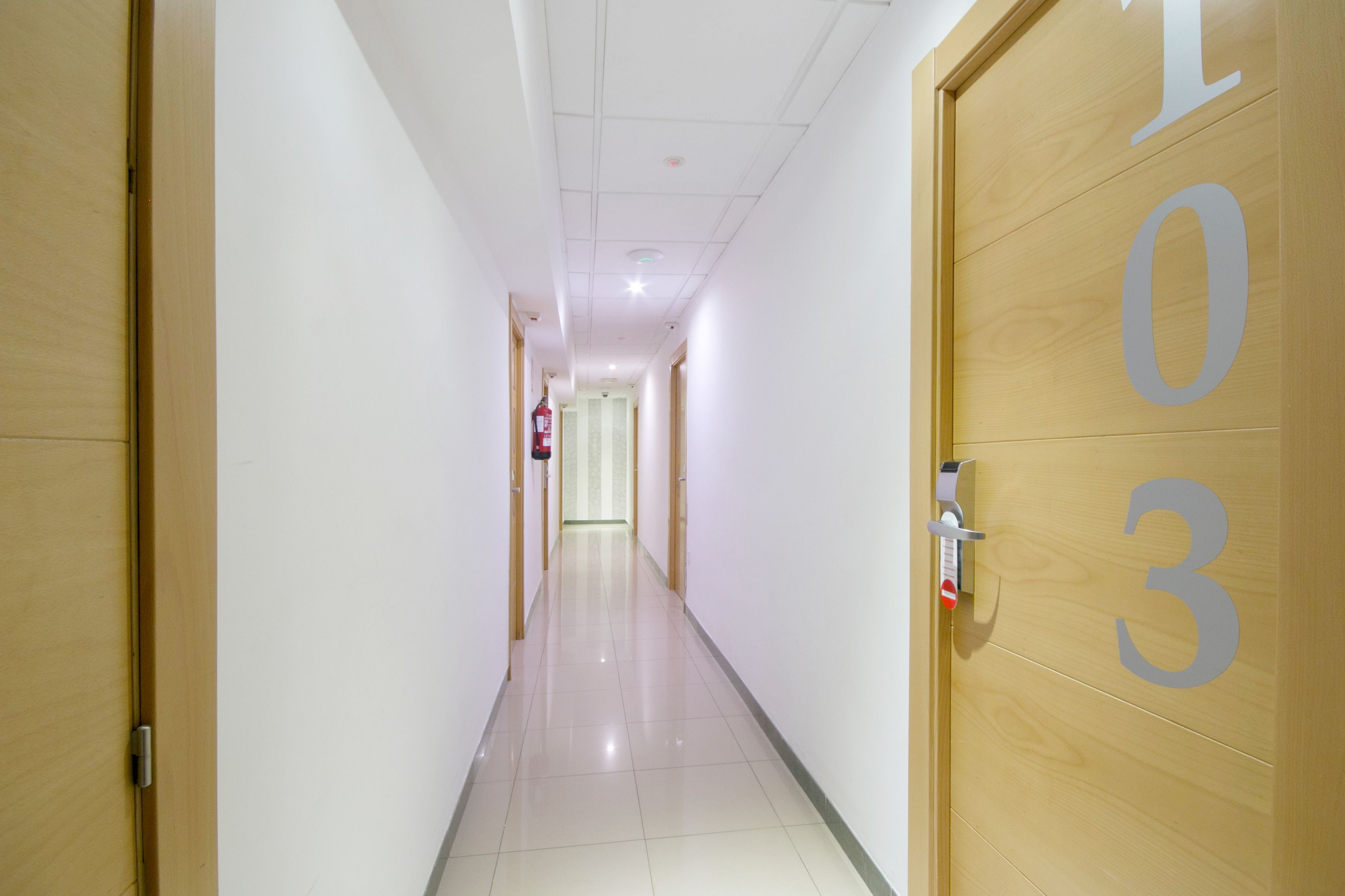 Foto - Atenas Granada