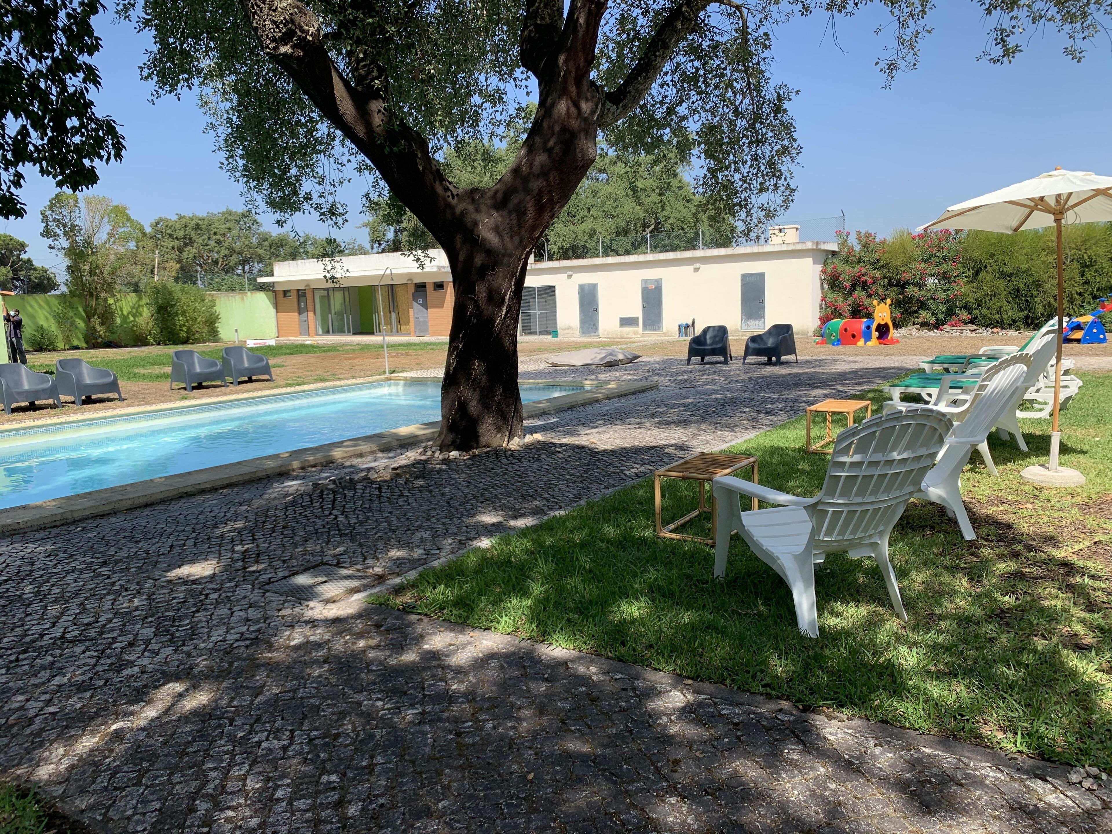 A pool area with lounge chairs, a tree, and a building in the background.