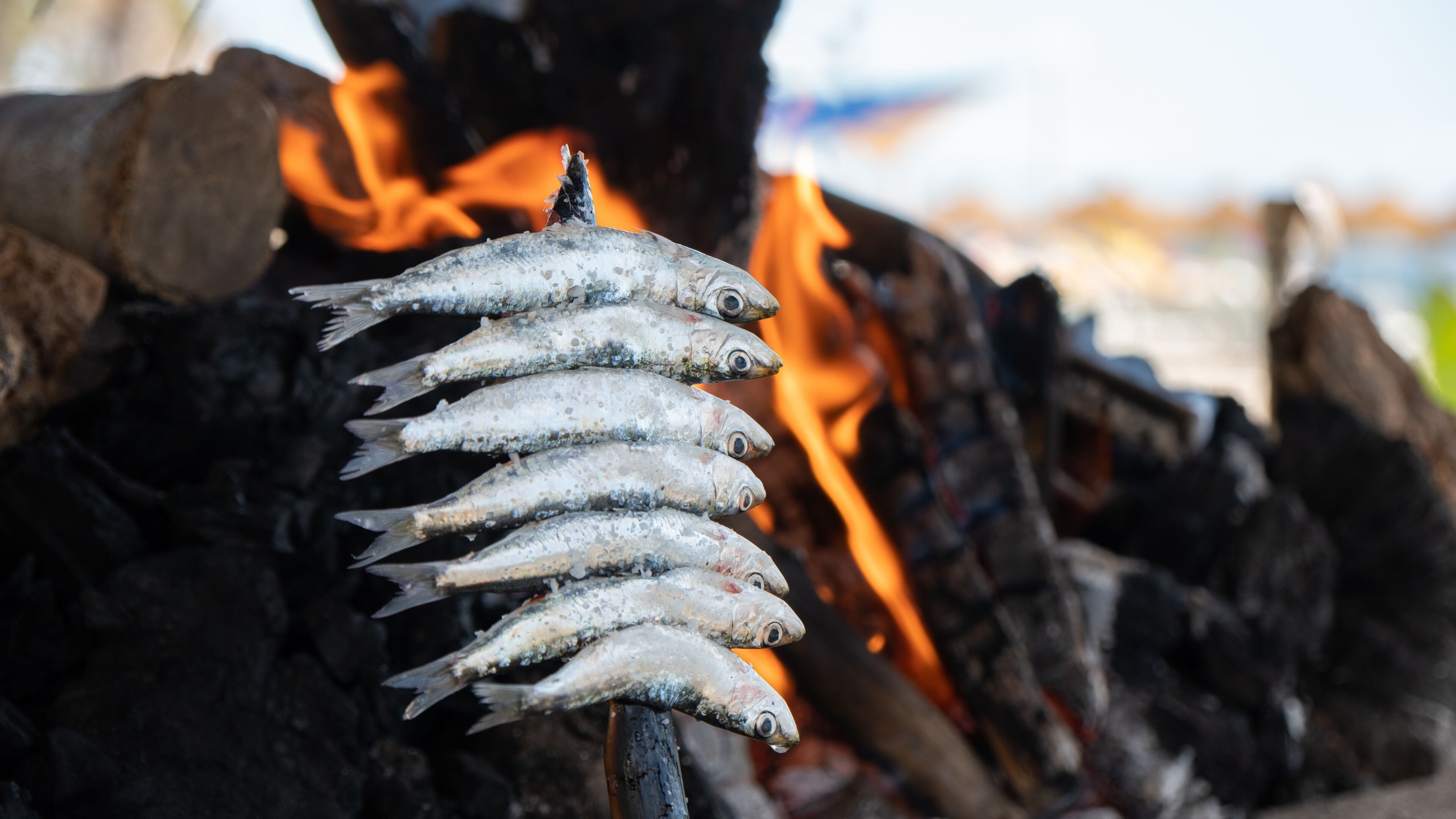 Photo - Hotel MS Tropicana Costa del Sol