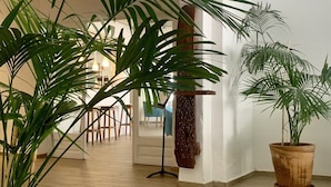 Une pièce spacieuse avec un plancher en bois, des murs blancs et plusieurs plantes en pot.
