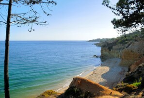 Playa en los alrededores 