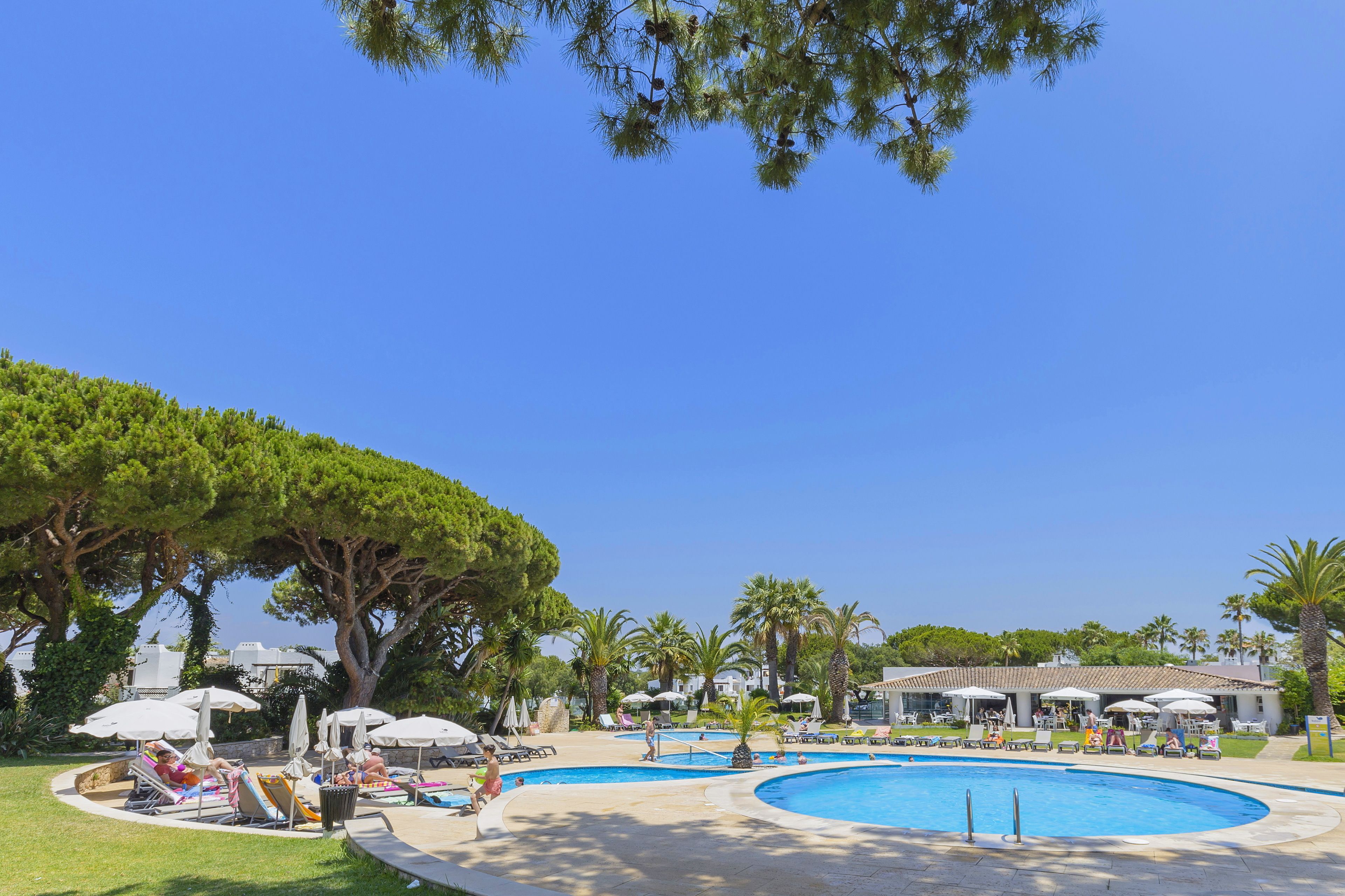 A pool area with lounge chairs and umbrellas, surrounded by trees and a clear blue sky.