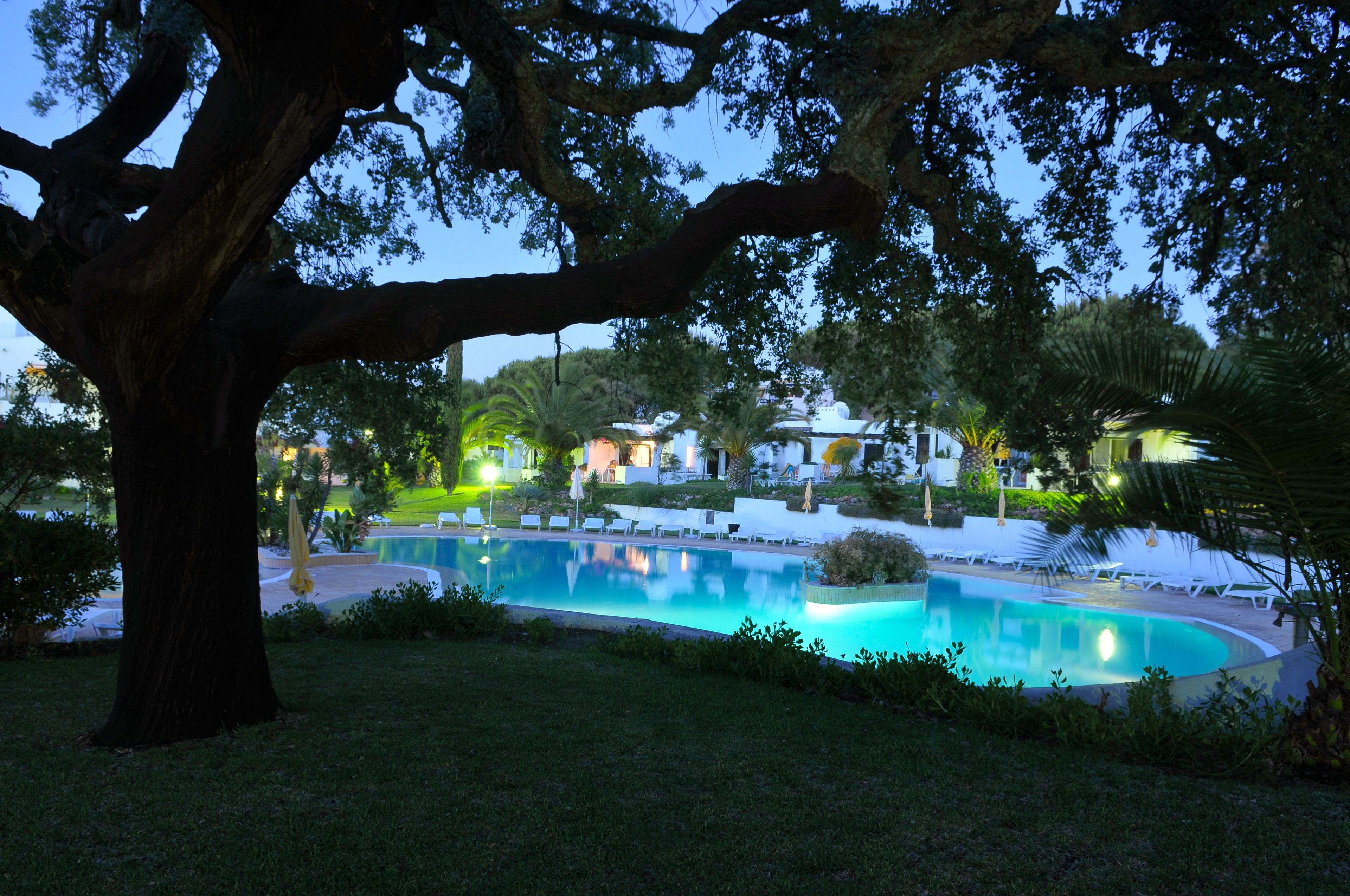 A swimming pool surrounded by white lounge chairs and palm trees, with a large tree in the foreground.