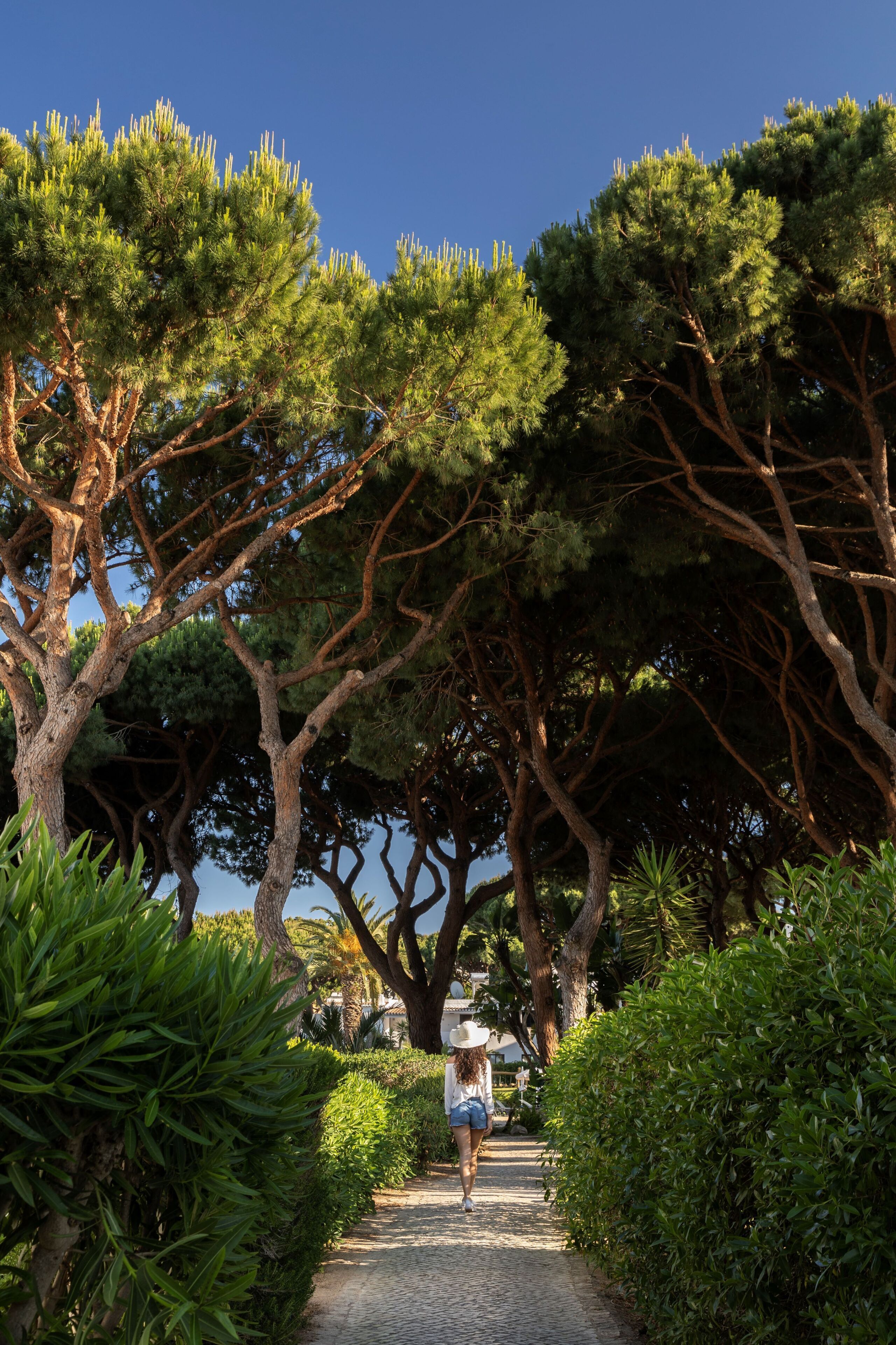 A pathway flanked by lush greenery and trees, leading to a person walking away.