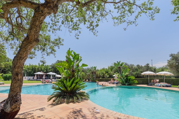 Piscina coperta, 6 piscine all'aperto