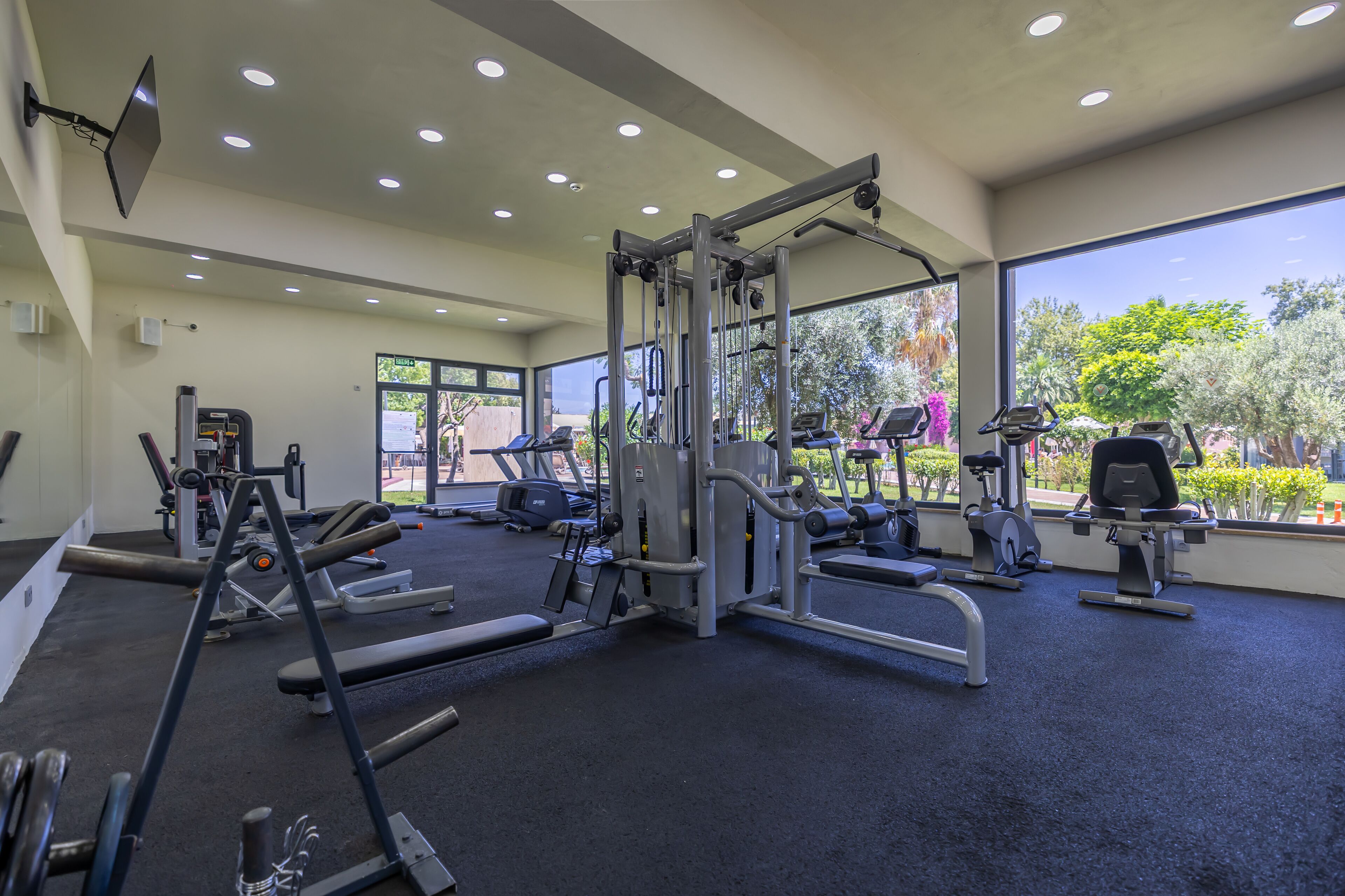 Un gimnasio con diversos equipos de ejercicio, ventanas amplias y vistas a zonas verdes al exterior.