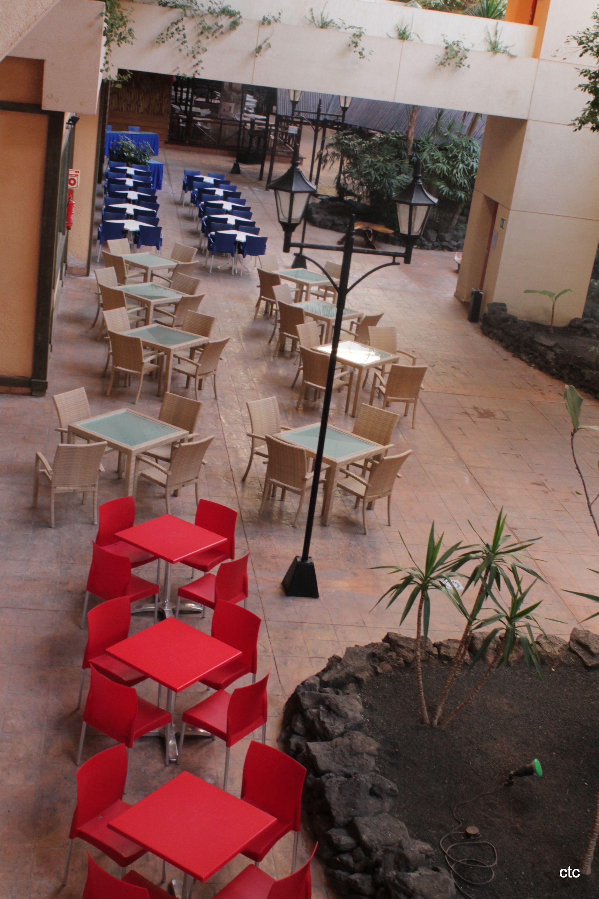 Une cour dotée d’espaces aménagés pour s’asseoir à l’extérieur, avec des tables et des chaises rouges et bleues, le tout entouré de plantes et bordé d’un chemin en pierre.