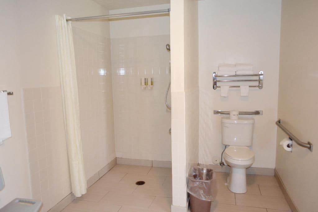 A bathroom with a shower, toilet, and a handrail.