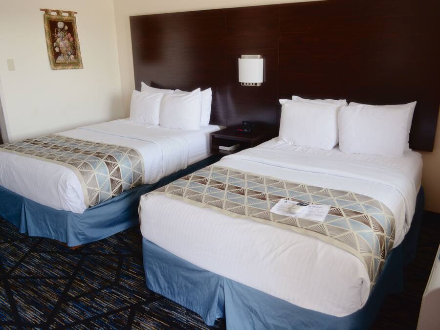Standard Room, 2 Double Beds