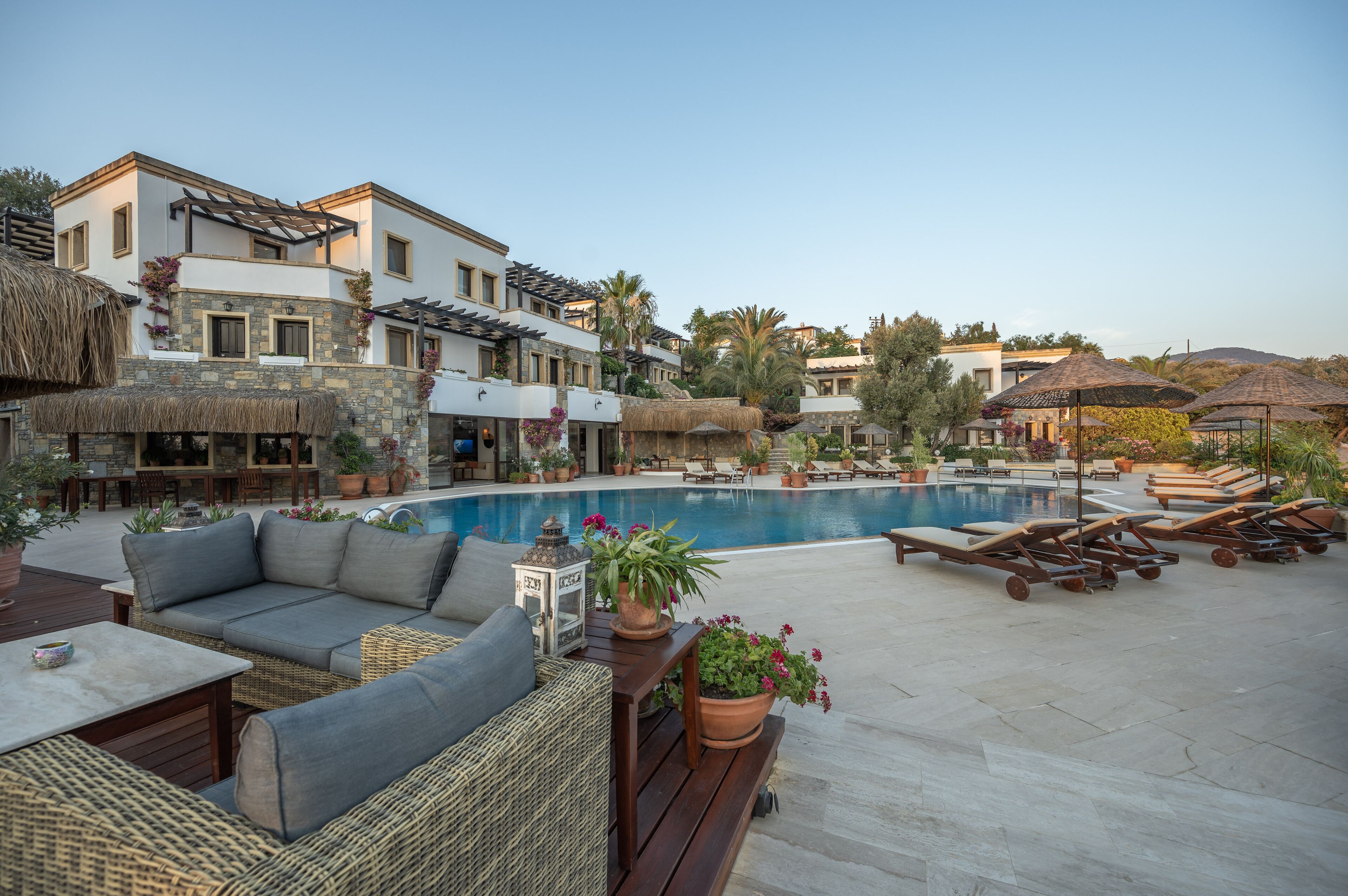 A poolside area with lounge chairs, a sofa, and potted plants.