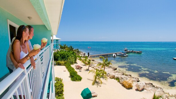 A balcony with a view of the ocean, a pier, and a beach with palm trees. - Compass Point Dive Resort (East End)