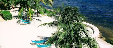 A beach with white sand, palm trees, and a pier extending into the ocean.