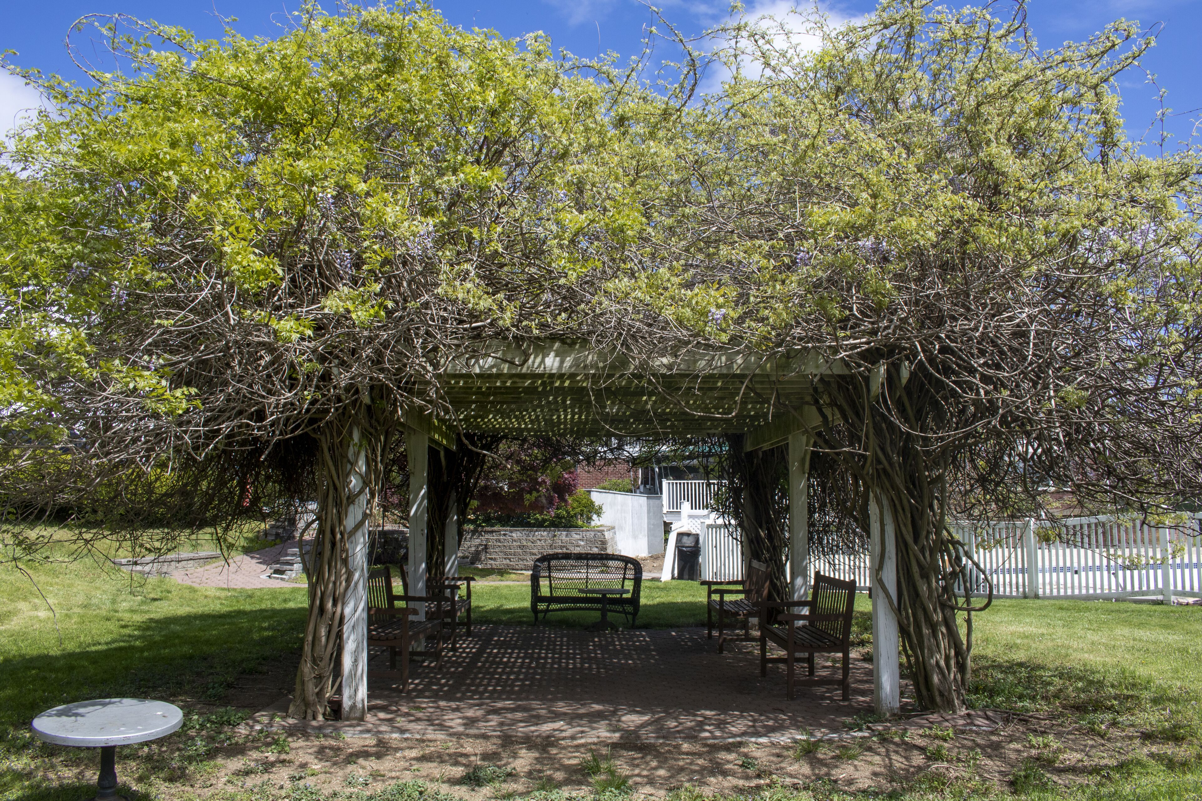 Une pergola avec un banc et une table, installée dans un jardin.