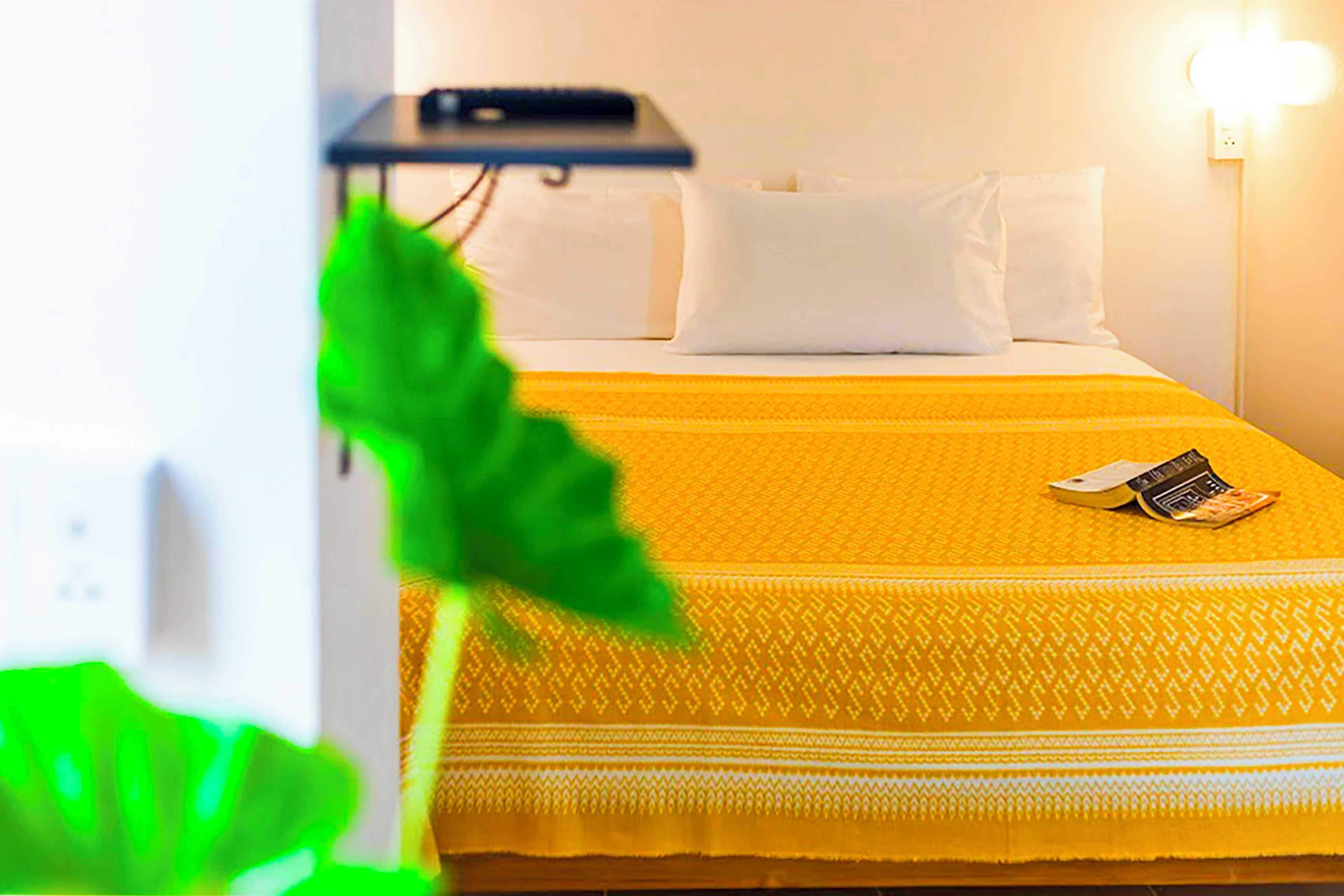 A hotel room with a bed, a nightstand, a lamp, and a green plant.