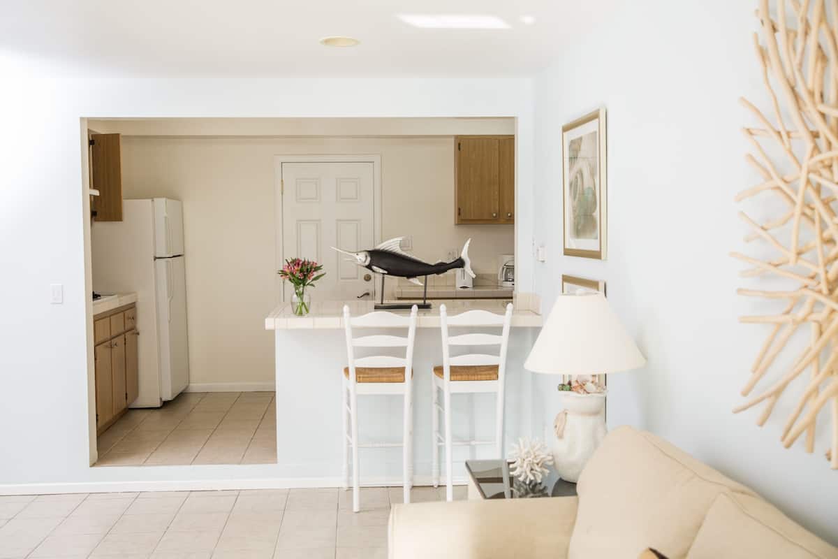 superior suite, 1 queen bed, non smoking | living area | plasma tv