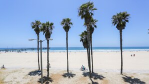 Ein Strand mit Palmen, einem Steg und blauem Himmel.